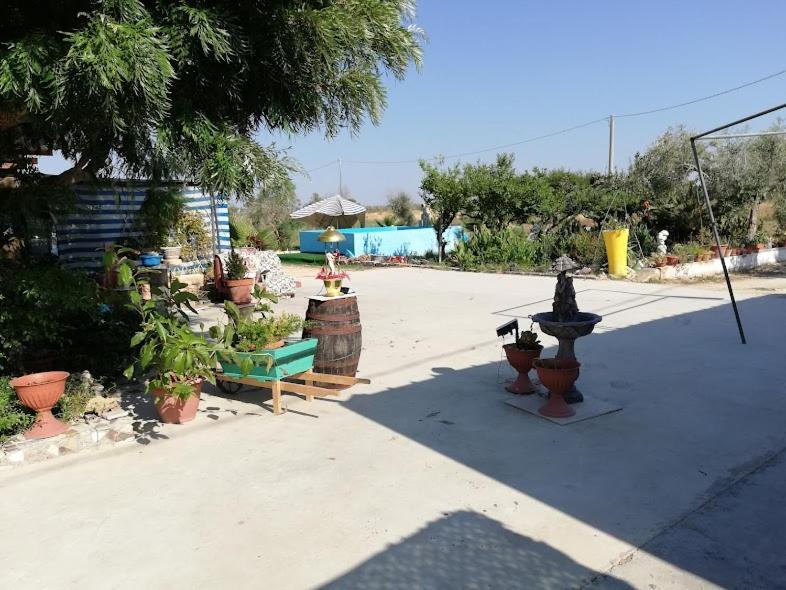 La Casa In Campagna Di Ottavia Alezio Dış mekan fotoğraf